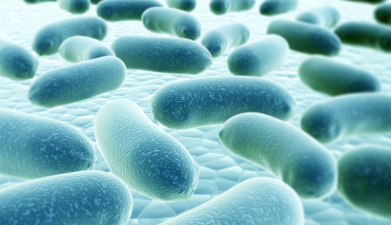 Legionella