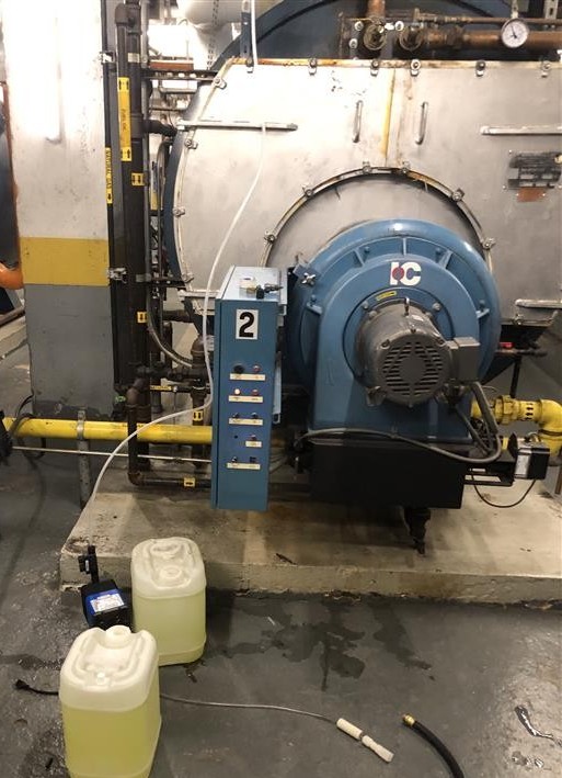 water remediation process for legionella contamination